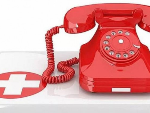 27 апреля для жителей Вологодской области будет работать «Телефон здоровья»