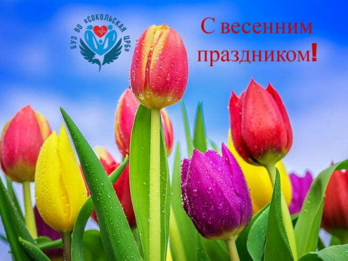 Уважаемые коллеги! Милые женщины!
