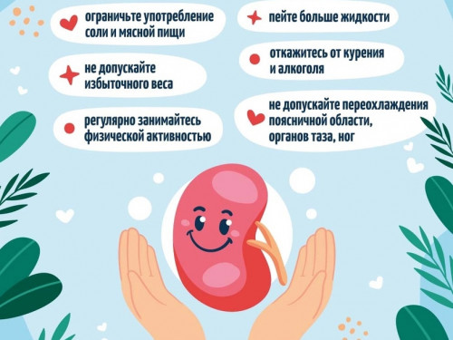 СЕГОДНЯ – ВСЕМИРНЫЙ ДЕНЬ ПОЧКИ