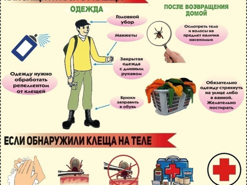 Вот и наступили долгожданные тёплые денёчки!