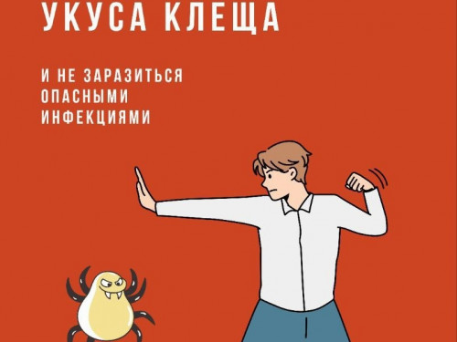 Как избежать укуса клеща