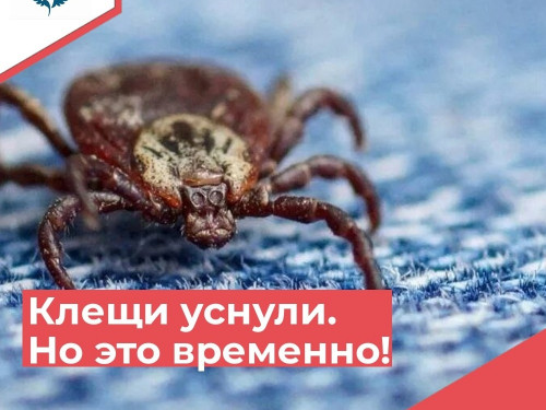 А это значит, что опасность миновала!