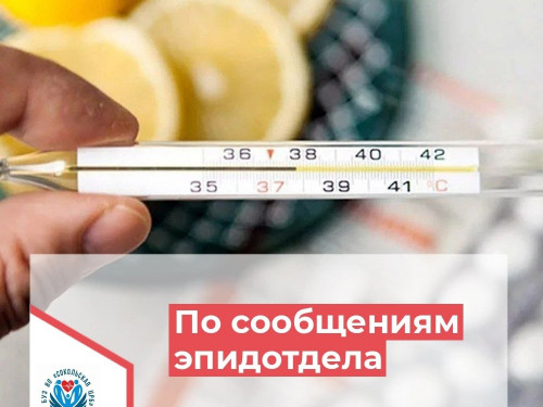 2543 человека с признаками ОРВИ и гриппа обратились в октябре за медицинской помощью в Сокольскую ЦРБ