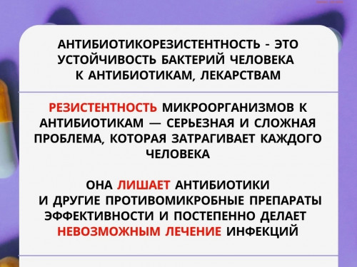 gvtYfsih1rs.jpg