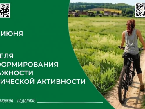 30 минут в день для долгой жизни: сила регулярной физической активности