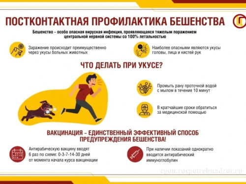 yzxfELwmq4T1o8Pmonz8WEoRtJmOVeJ59w5k2nza9LRE1FiBrgV1EaIUwPhy0VDEjVYou3U_IEVOS_LogNjKqqIS.jpg