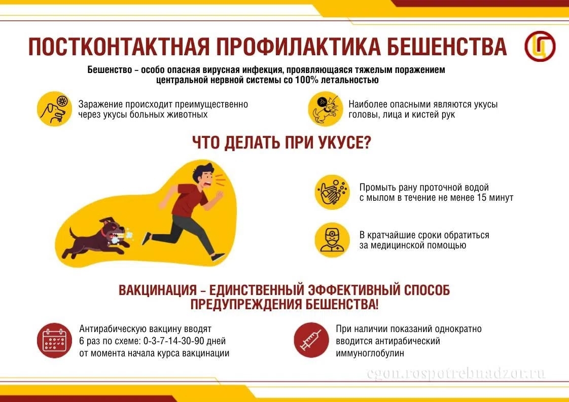 Осторожно, бешенство