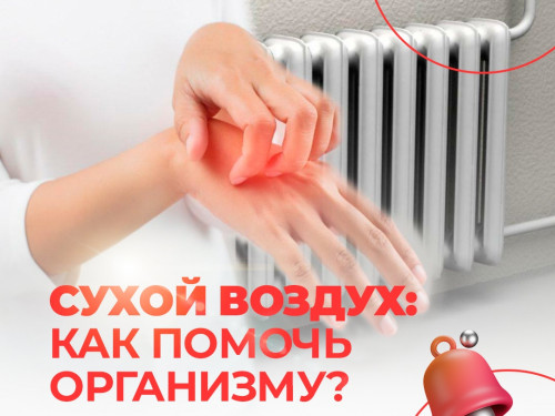 Знакомая осенняя проблема — сухой воздух в помещениях