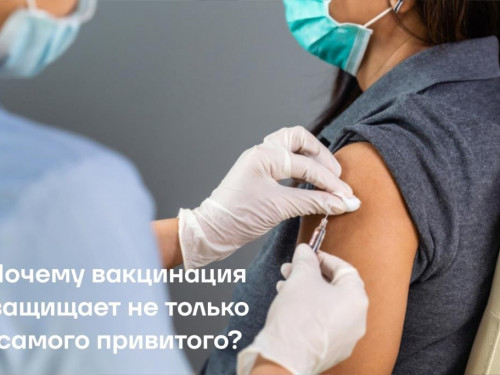 Почему вакцинация защищает не только самого привитого?
